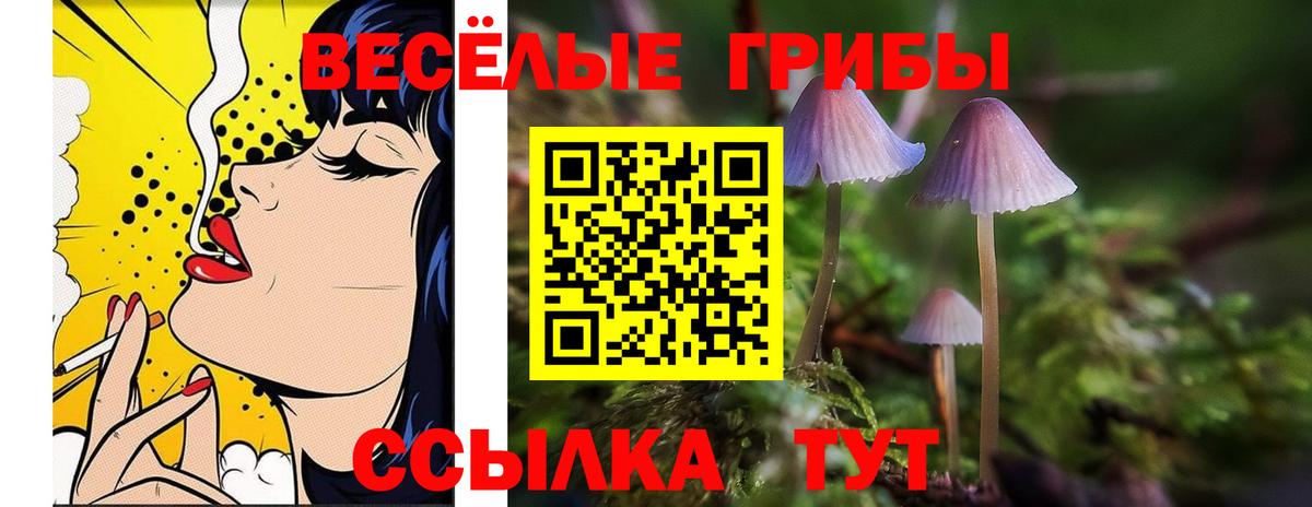Рязань  Псилоцибиновые грибы MAGIC MUSHROOMS  Вход с VPN 
