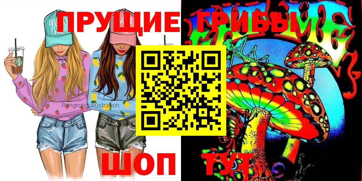 Псилоцибиновые грибы Cubensis Рязань